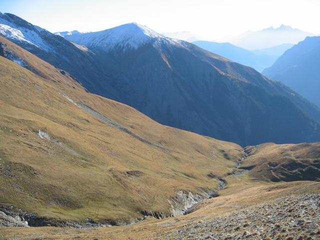 South view