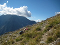 #5: West