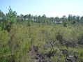 #4: View to the West