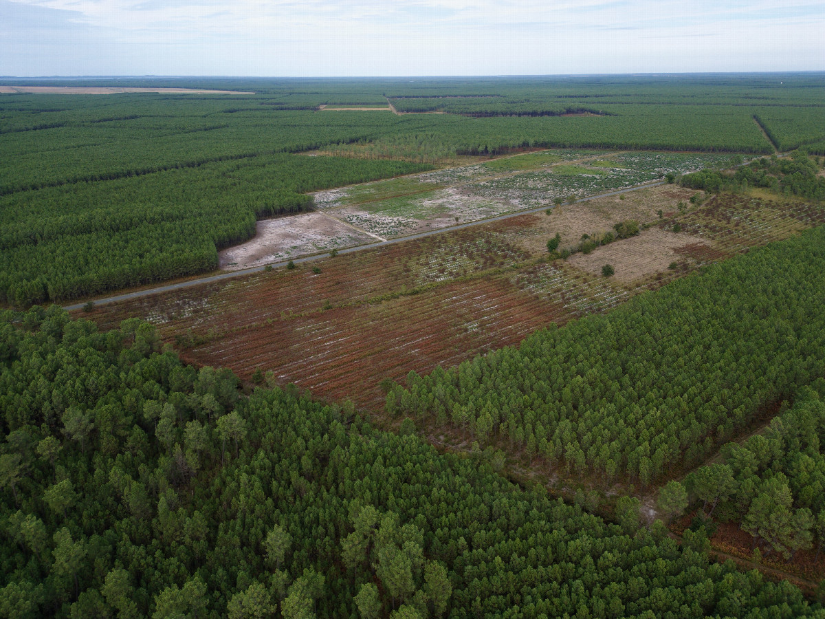 View North, from 120m above the point