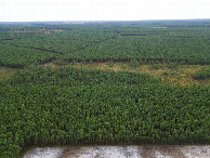 #10: View South, from 120m above the point