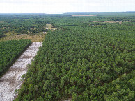 #11: View West, from 120m above the point