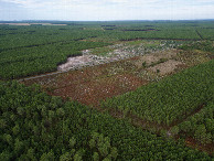 #8: View North, from 120m above the point