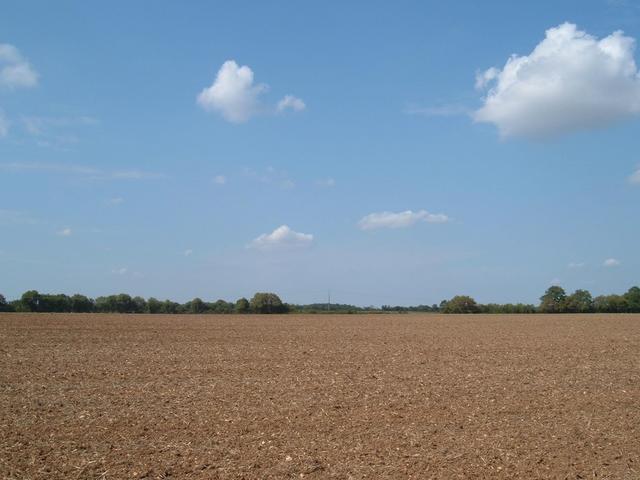 From confluence point, looking north