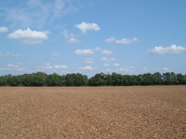 From confluence point, looking east