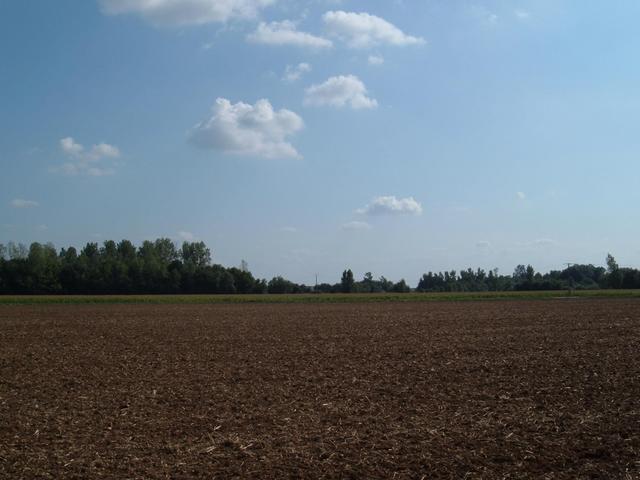 From confluence point, looking south