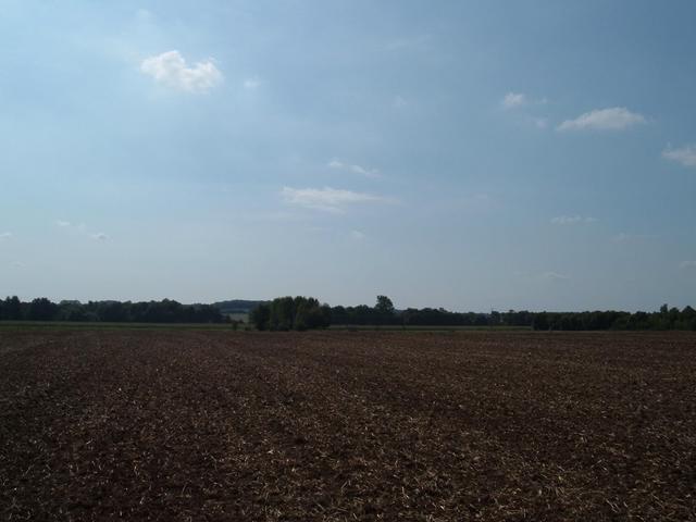 From confluence point, looking west