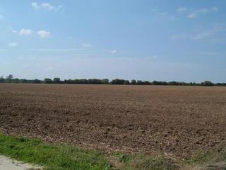 #1: General area of confluence, viewed from southeast