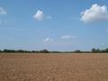 #2: From confluence point, looking north