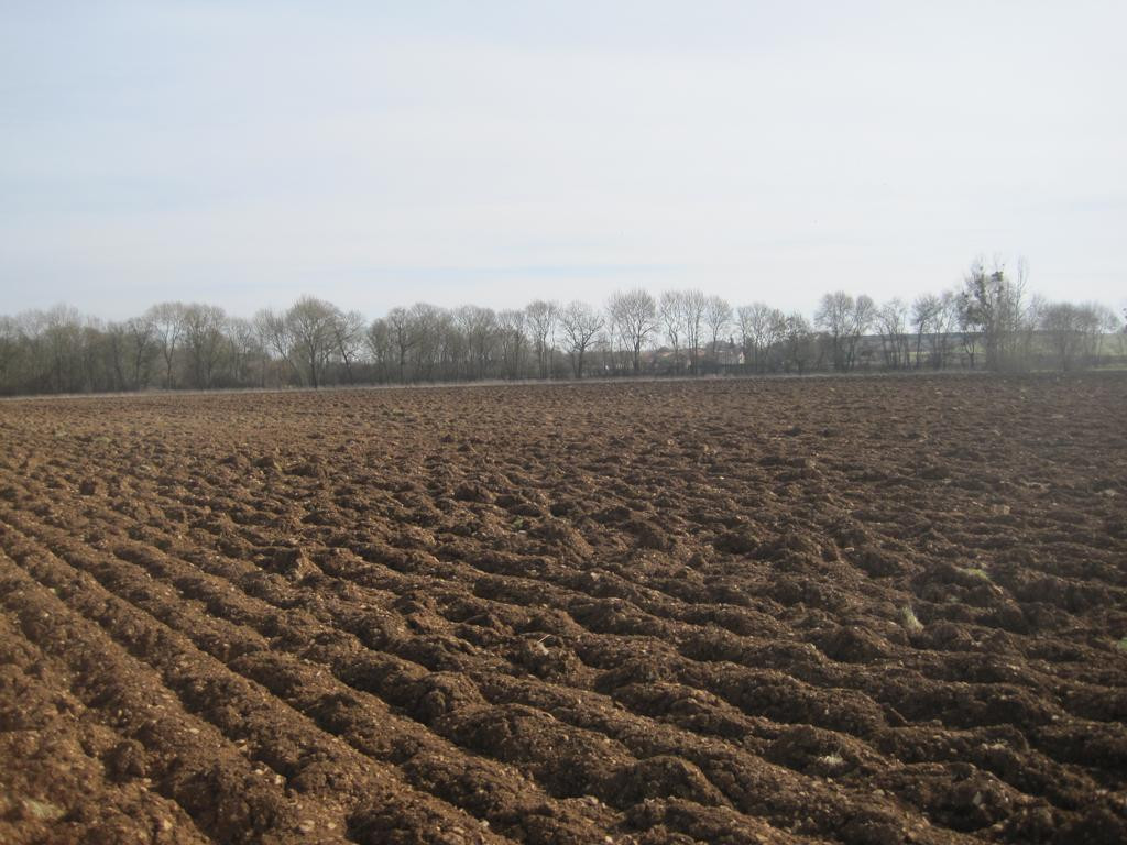 Osten; view east