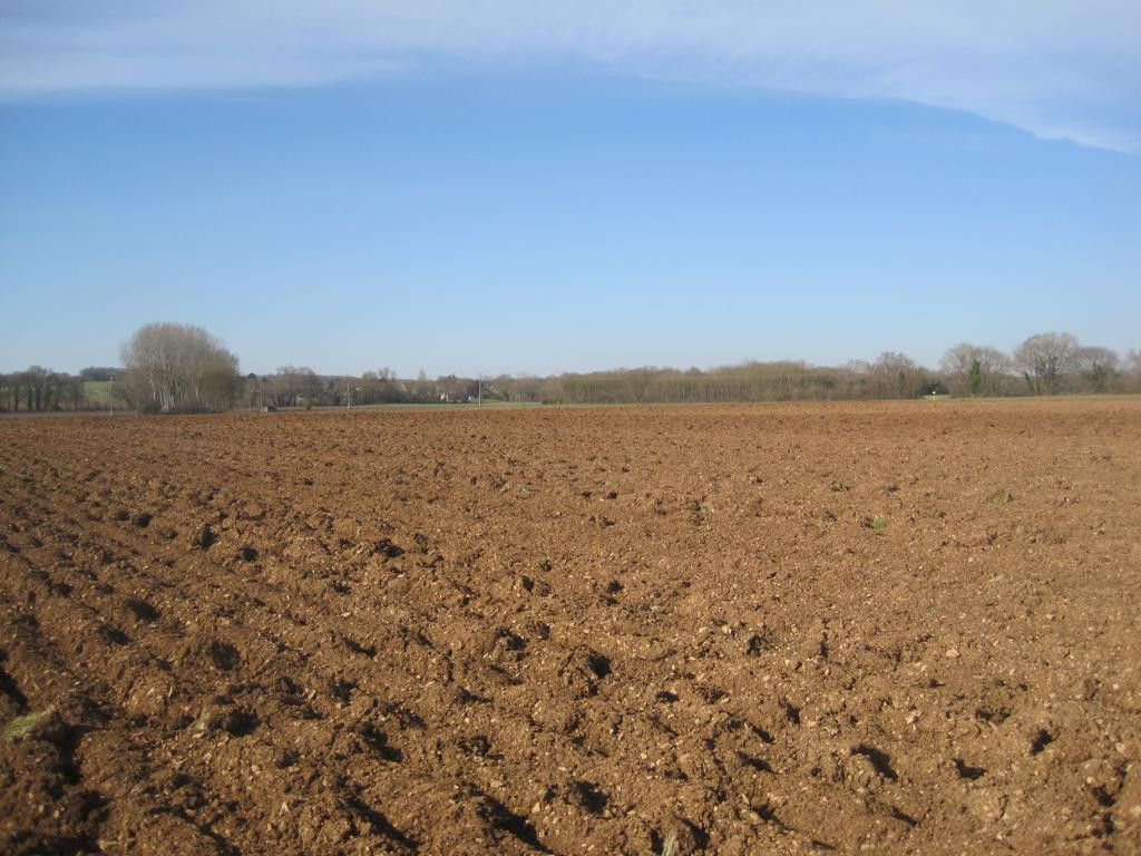 Westen; view west