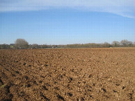 #4: Westen; view west