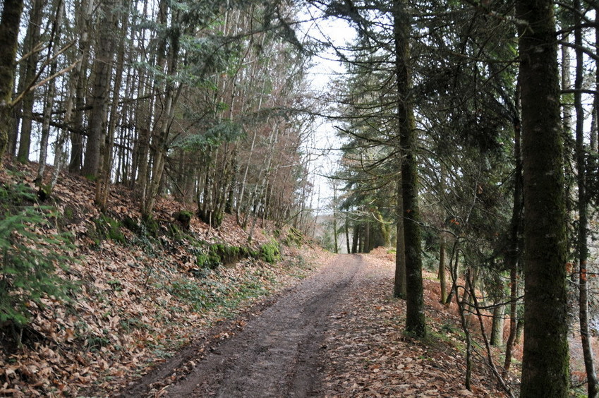 View north / Blick nach Norden