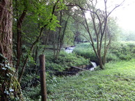 #7: Stream in 240 m from CP / Ручей в 240 m