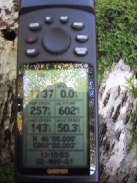 the GPS view