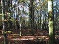 #4: view north