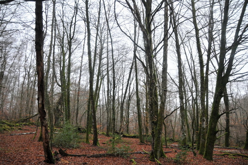 View south / Blick nach Süden