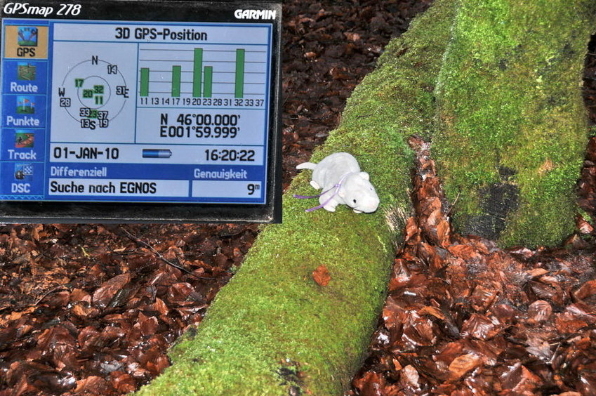 GPS