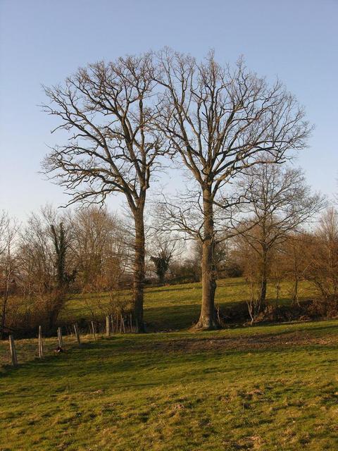 View west / Blick nach Westen
