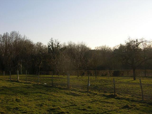 View south / Blick nach Süden