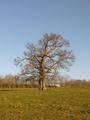 #2: View north / Blick nach Norden