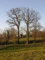 #3: View west / Blick nach Westen