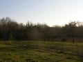 #4: View south / Blick nach Süden