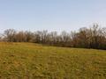#5: View east / Blick nach Osten