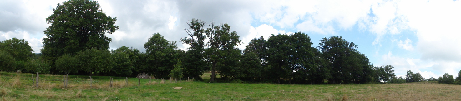 Panoramic view shot from the point