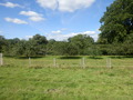 #3: View to the West