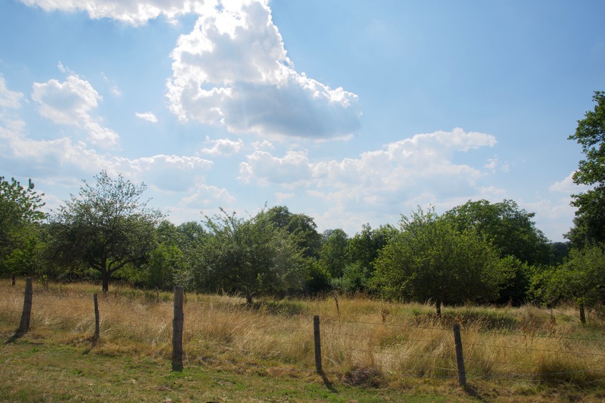 View West (towards a country road, 40 m away)