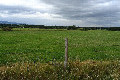 Visit #10: [02-Jul-20]