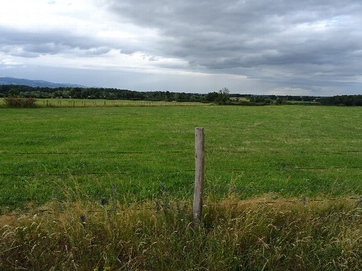 #1: North view from the road shoulder. The CP is 25 m ahead.