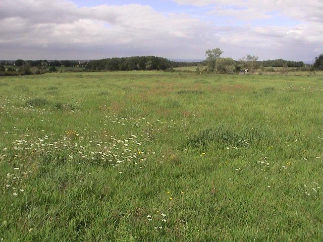 This is a general view in northerly direction, taken from the nearby road.