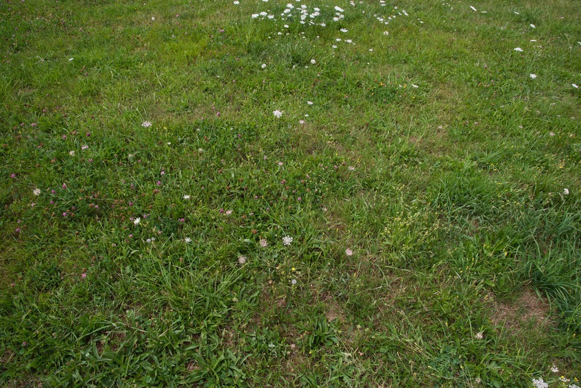 The confluence point lies in a fallow farm field, 30m north of a road