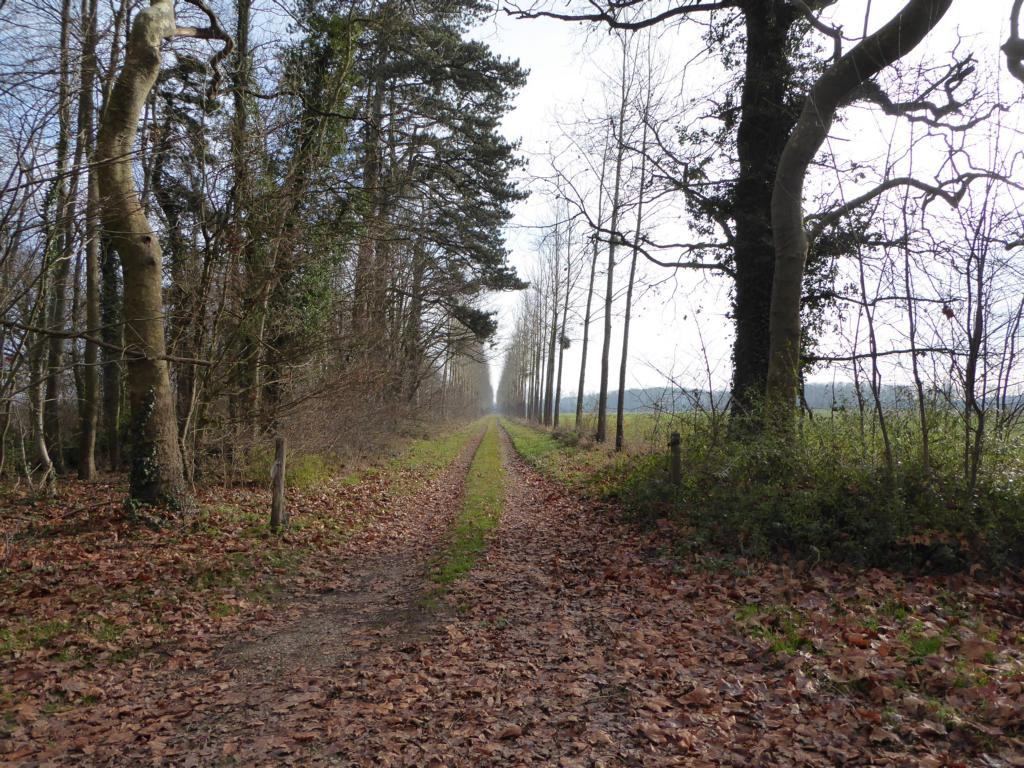 schöner weg nach südwest