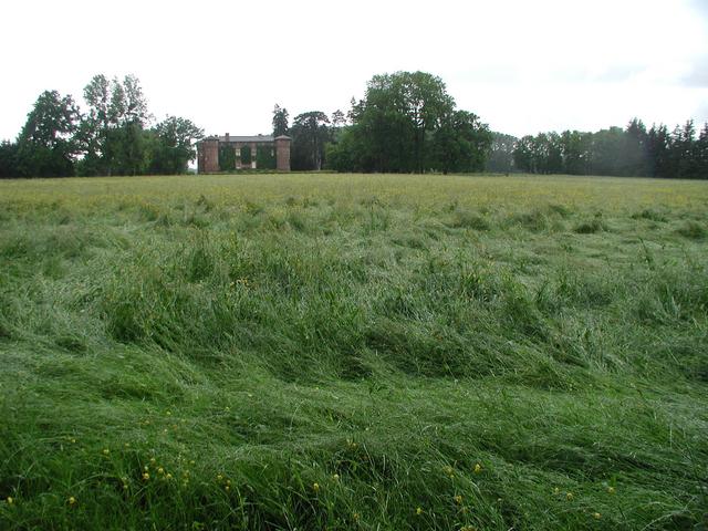 Punkt im Vordergrund / Confluence in the foreground