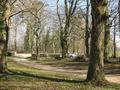 #2: View from the confluence to the north / Blick vom Confluence Punkt nach Norden