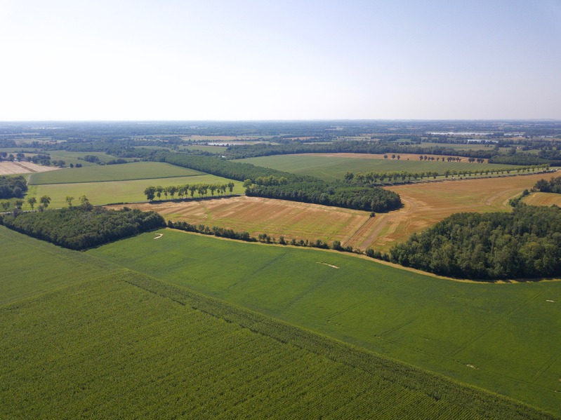 View South, from 100 m above the point