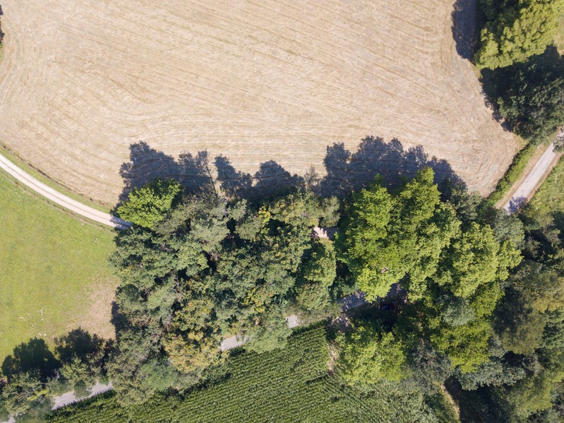 Looking down on the confluence point from 100 m above