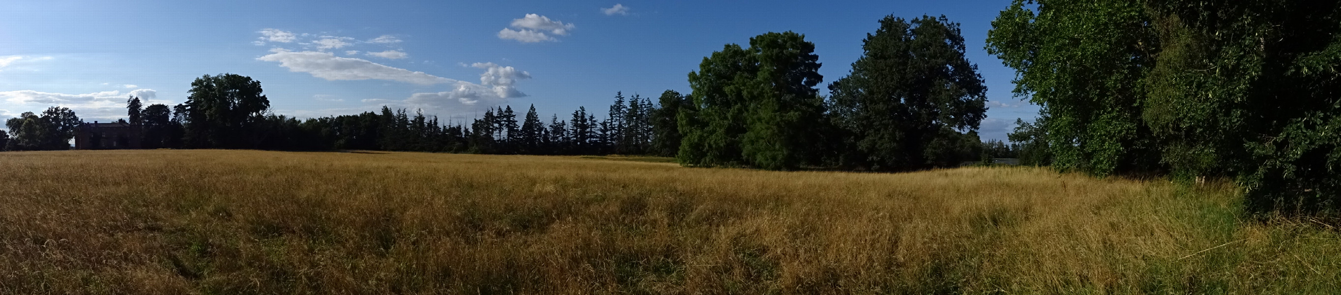 WNE panoramic view from the point