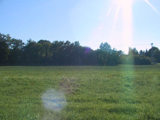 Second view of this field