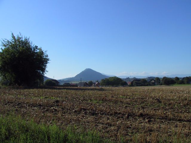 The landscape across the road