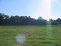 #2: Second view of this field