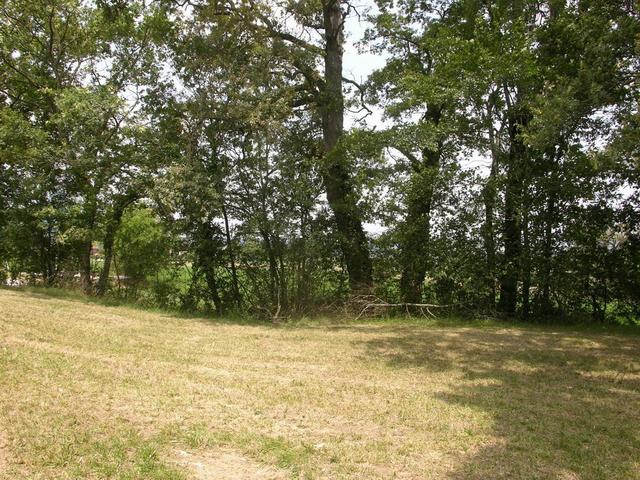 View in southern direction / Blick nach Süden