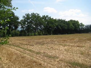 #1: Location of N46 E6