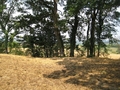 #3: north view