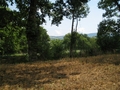 #4: east view