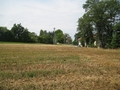 #6: west view