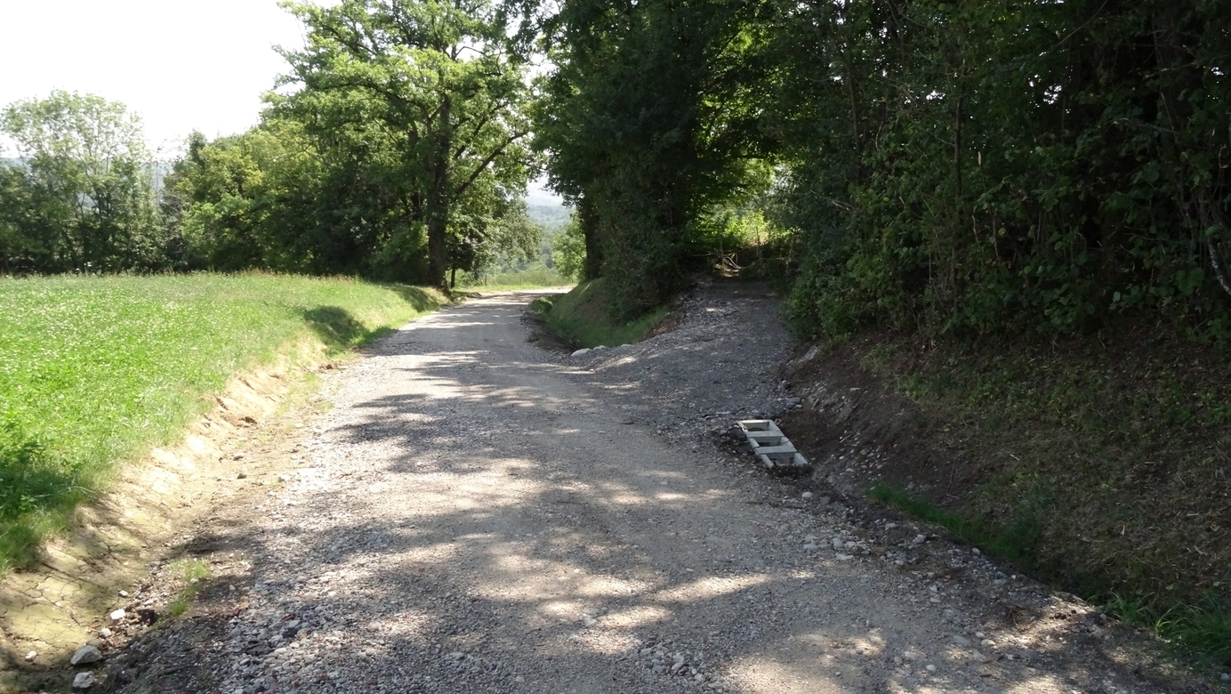 Access to the pasture with the CP on it